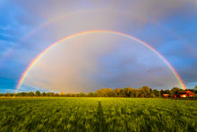 Load image into Gallery viewer, 'Nirvana'