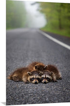 Load image into Gallery viewer, 'Three's Company'