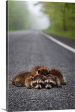 Load image into Gallery viewer, 'Three's Company'