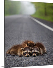 Load image into Gallery viewer, 'Three's Company'