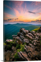 Load image into Gallery viewer, 'Did we Just Become Best Friends?'