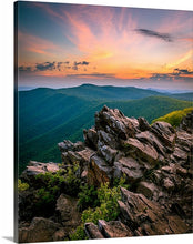 Load image into Gallery viewer, 'Did we Just Become Best Friends?'