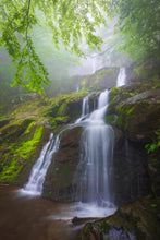 Load image into Gallery viewer, 'Otherworldly'