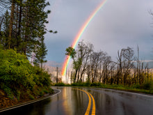 Load image into Gallery viewer, 'Magically Delicious - landscape edition'