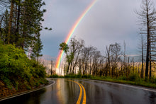 Load image into Gallery viewer, 'Magically Delicious - landscape edition'