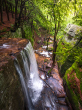 Load image into Gallery viewer, 'Hector Falls, Allegheny National Forest'