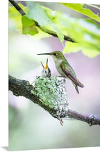 Load image into Gallery viewer, 'My Life is Complete'