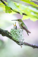 Load image into Gallery viewer, 'My Life is Complete'