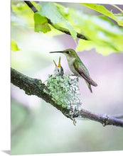 Load image into Gallery viewer, 'My Life is Complete'