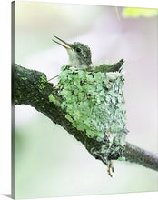 Load image into Gallery viewer, 'My Life is Complete.  Part Two'