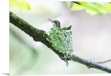 Load image into Gallery viewer, 'My Life is Complete.  Part Two'