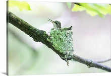 Load image into Gallery viewer, 'My Life is Complete.  Part Two'