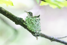 Load image into Gallery viewer, 'My Life is Complete.  Part Two'