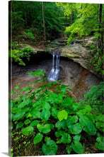 Load image into Gallery viewer, 'Cloud Forest'