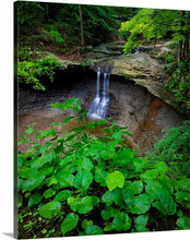 Load image into Gallery viewer, 'Cloud Forest'