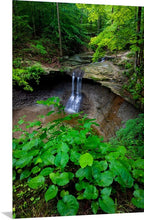 Load image into Gallery viewer, 'Cloud Forest'