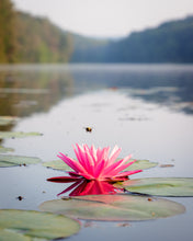 Load image into Gallery viewer, 'Happy Place.  Chapter One'