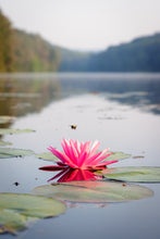 Load image into Gallery viewer, 'Happy Place.  Chapter One'