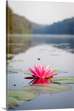 Load image into Gallery viewer, 'Happy Place.  Chapter One'