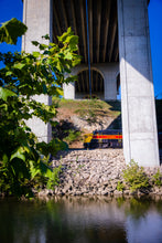 Load image into Gallery viewer, 'Train-ing Day'