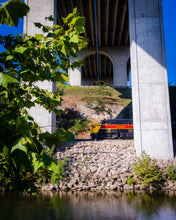 Load image into Gallery viewer, 'Train-ing Day'