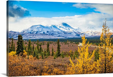 Load image into Gallery viewer, &#39;Alaska.  Chapter Four.&#39;