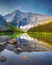 Load image into Gallery viewer, 'Grizzly Country'