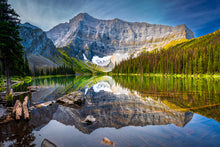 Load image into Gallery viewer, 'Grizzly Country'
