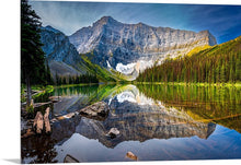 Load image into Gallery viewer, 'Grizzly Country'