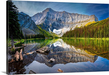 Load image into Gallery viewer, 'Grizzly Country'