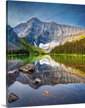 Load image into Gallery viewer, 'Grizzly Country'