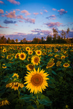 Load image into Gallery viewer, 'Prayers'