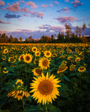 Load image into Gallery viewer, 'Prayers'