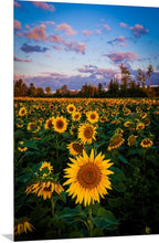 Load image into Gallery viewer, 'Prayers'