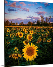 Load image into Gallery viewer, 'Prayers'