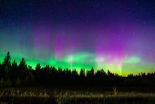 Load image into Gallery viewer, 'Cosmic Dancer'