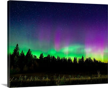 Load image into Gallery viewer, 'Cosmic Dancer'