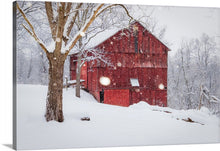 Load image into Gallery viewer, &#39;Snowed In&#39;