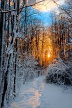 Load image into Gallery viewer, 'Moments Like These...'