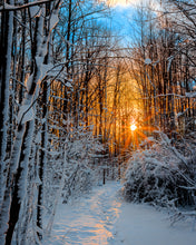 Load image into Gallery viewer, 'Moments Like These...'