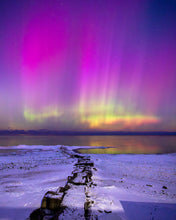 Load image into Gallery viewer, 'The Chase'