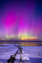 Load image into Gallery viewer, 'The Chase'