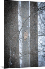 Load image into Gallery viewer, 'Stoic'