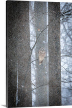 Load image into Gallery viewer, 'Stoic'