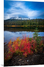 Load image into Gallery viewer, &#39;Rain-ing Champ&#39;