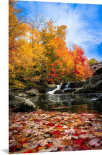 Load image into Gallery viewer, &#39;Autumn Splendor&#39;