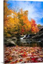 Load image into Gallery viewer, &#39;Autumn Splendor&#39;