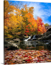 Load image into Gallery viewer, &#39;Autumn Splendor&#39;