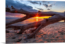 Load image into Gallery viewer, &#39;Scheele Preserve&#39;