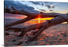 Load image into Gallery viewer, &#39;Scheele Preserve&#39;